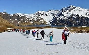 hiking in antarctica cruises