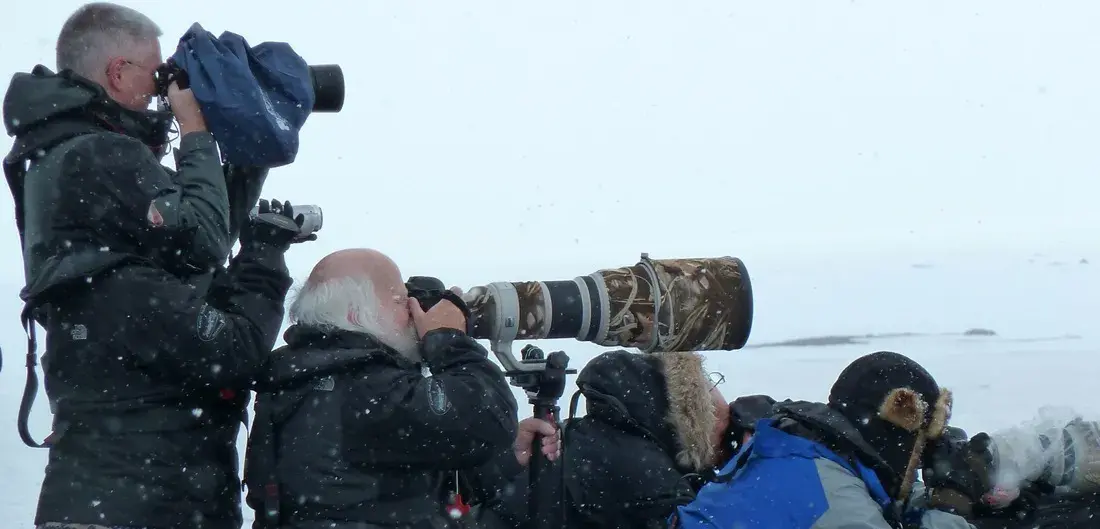 Photoworkshop in Antarctic Cruises