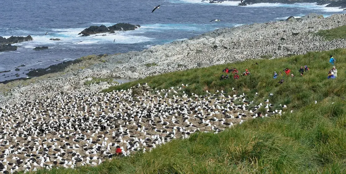 Falkland Islands, South Georgia & Antarctic Peninsula